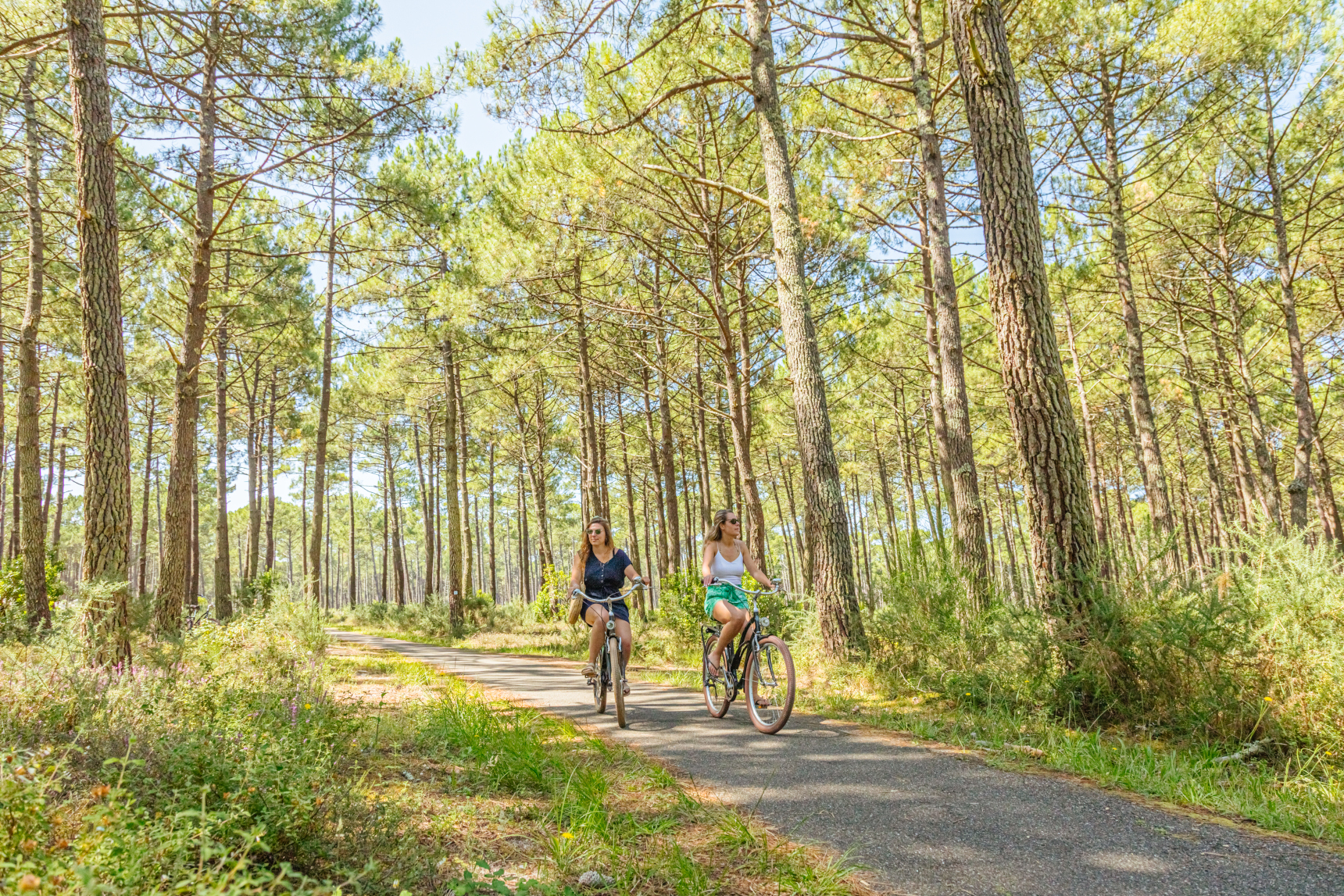 La Vélodysée®